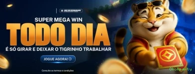 Sistemas de Segurança Okokparty